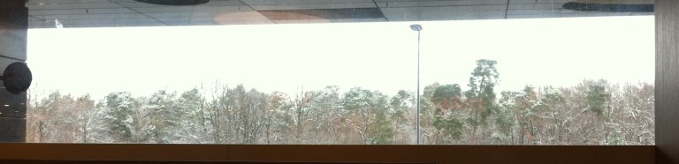 view from Frankfurt train station REWE