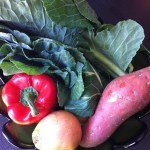 For the Love of Food, marianhd, west african soup