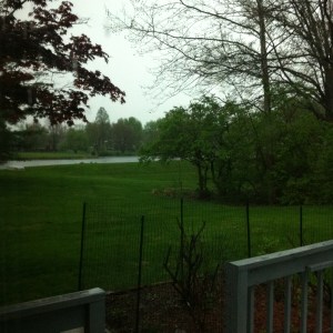 For the Love of Food, marianhd.com,